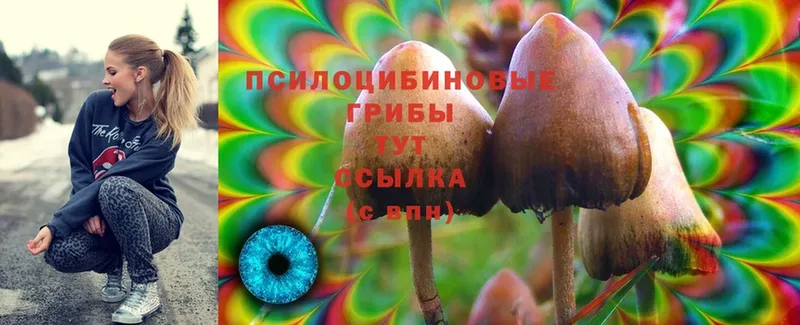 Галлюциногенные грибы Cubensis  наркота  mega ONION  Краснотурьинск 